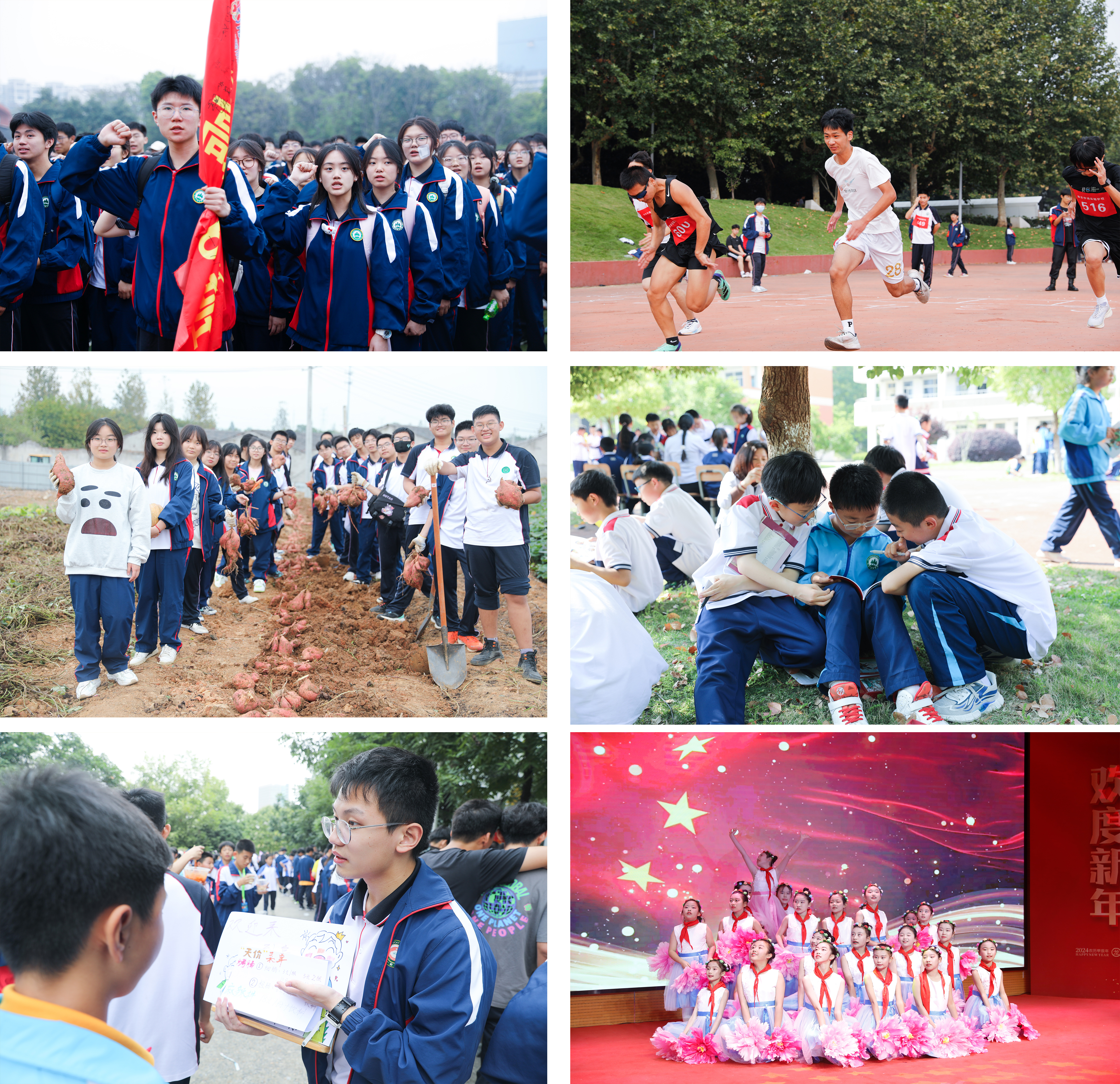 未标题-1.jpg 未标题-1.jpg